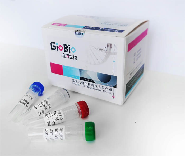 诺如病毒GI型/GII型/A组轮状病毒三